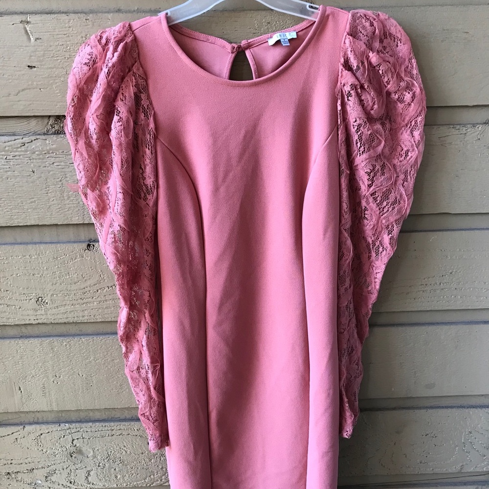 NWT Iris Puffed long Sleeve Pink Bodycon Dress